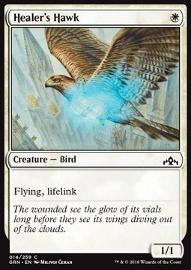 Healer's Hawk 