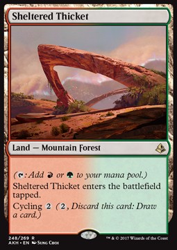 Sheltered Thicket - Amonkhet 