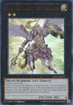 Sky Cavalry Centaurea 