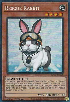 Rescue Rabbit (V.6 Collectors Rare) 