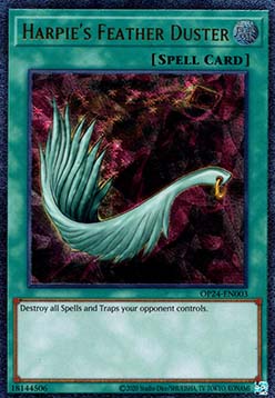 Harpies Feather Duster 