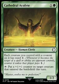 Cathedral Acolyte 