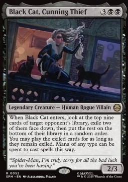 Black Cat Cunning Thief 