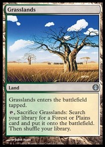 Grasslands 