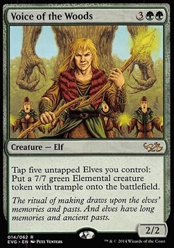 Voice of the Woods 