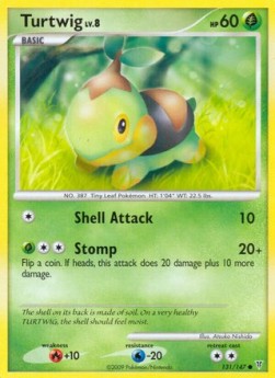 Turtwig Lv.8 