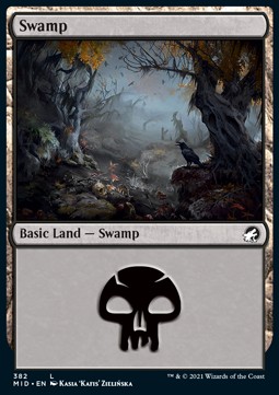 Swamp 