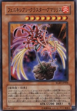 Phoenixian Cluster Amaryllis 