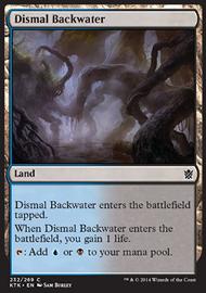 Dismal Backwater 