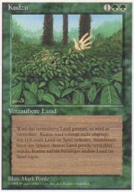 Kudzu