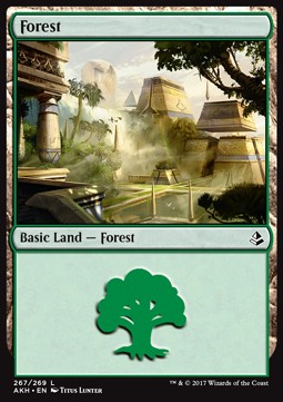 Forest (V.2) 