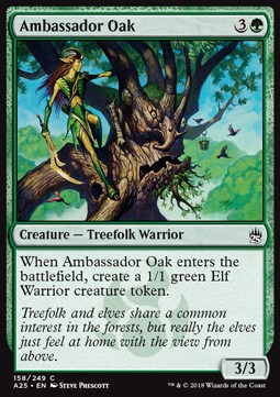 Ambassador Oak 