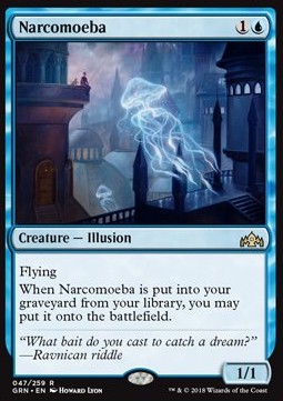 Narcomoeba 