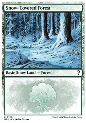 Snow Covered Forest 