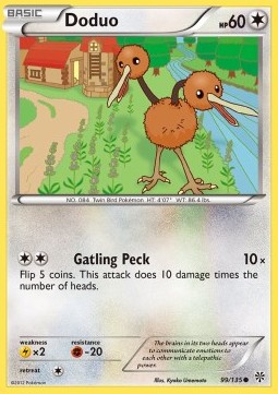 Doduo 