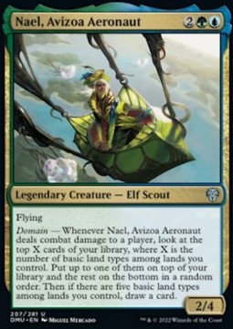 Nael, Avizoa Aeronaut 