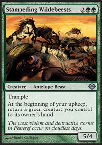 Stampeding Wildebeests 