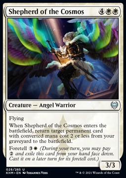 Shepherd of the Cosmos 