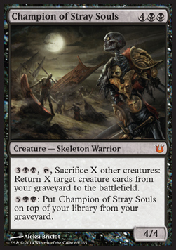 Champion of Stray Souls 