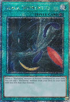 Black Whirlwind (V.2 Quarter Century Secret Rare)