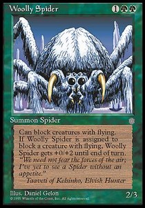 Woolly Spider 