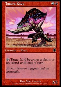 Tundra Kavu 