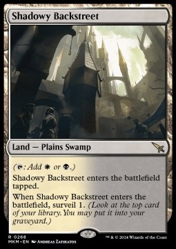 Shadowy Backstreet 