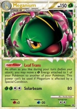 Meganium (Collector's Tins) 
