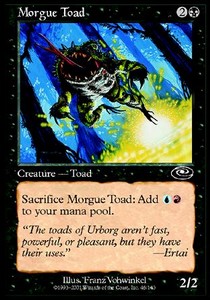 Morgue Toad 