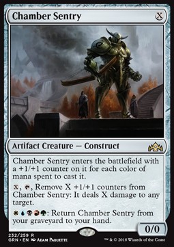 Chamber Sentry 