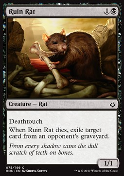 Ruin Rat 