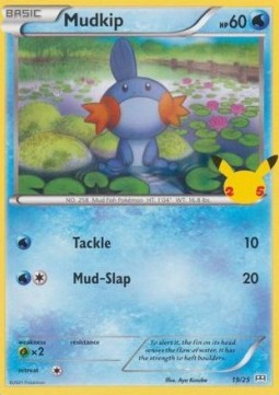 Mudkip 