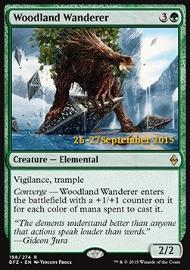 Woodland Wanderer 