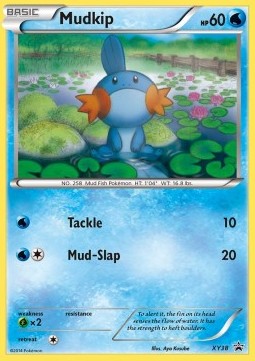 Mudkip (Hoenn Collection) 