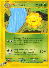 Sunflora 