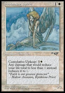 Sustaining Spirit - Alliances 