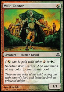 Wild Cantor 