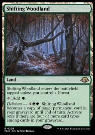 Shifting Woodland 