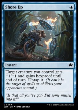 Shore Up 