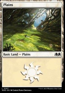 Plains (V.2) 