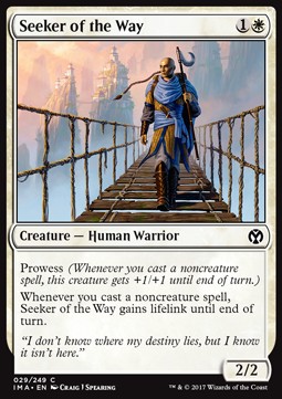 Seeker of the Way 