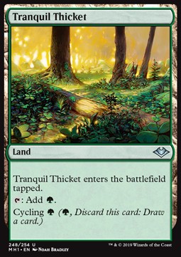 Tranquil Thicket 