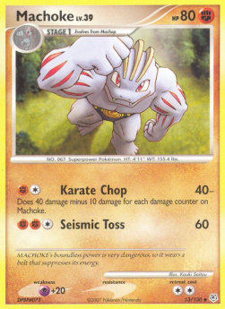 Machoke Lv.39 