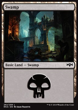 Swamp 