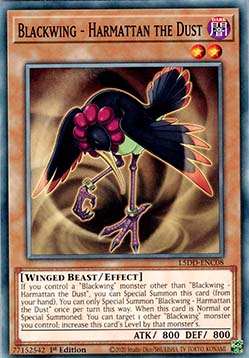 Blackwing Harmattan the Dust 