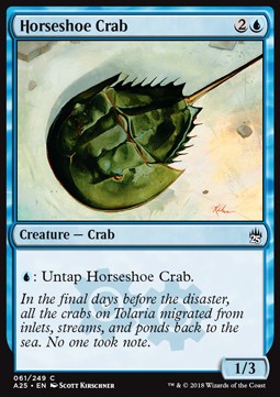 Horseshoe Crab 