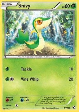 Snivy 