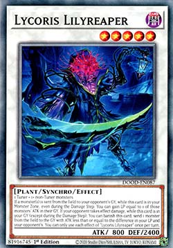 Lycoris Lilyreaper 