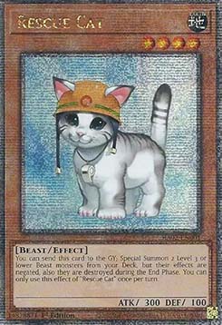 Rescue Cat (V.9 Quarter Century Secret Rare)