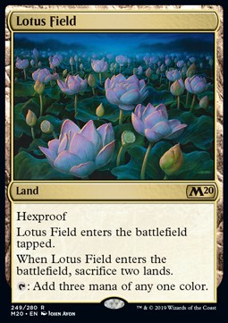 Lotus Field 